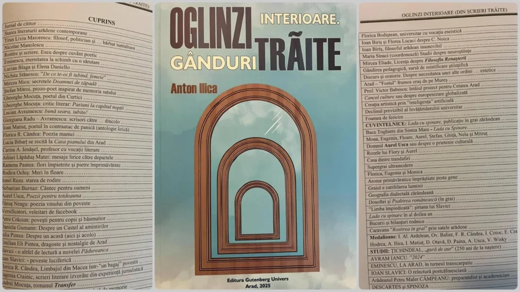 anton ilica oglinzi interioare