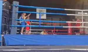 pugiliștii de la box club