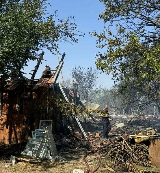 Aradul, pe harta celor mai iubite destinații pentru copii | zooland, printre atracțiile de top din românia 7 image 1 1