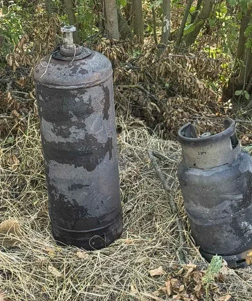 Aradul, pe harta celor mai iubite destinații pentru copii | zooland, printre atracțiile de top din românia 8 image