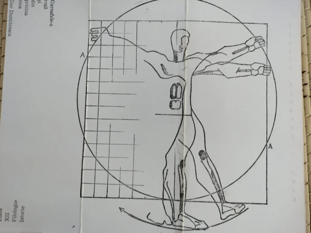 5 1