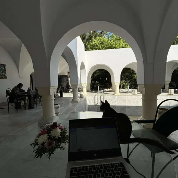 ana francesca alexandrescu tunis 3