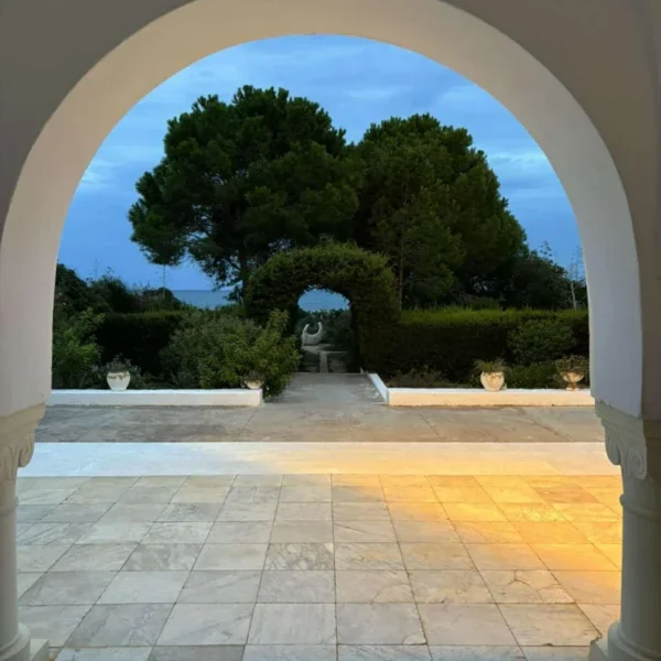 ana francesca alexandrescu tunis 5