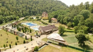 miniș, păuliș și moneasa – primele