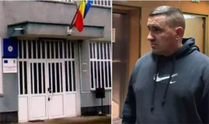 de ce a fost bătut