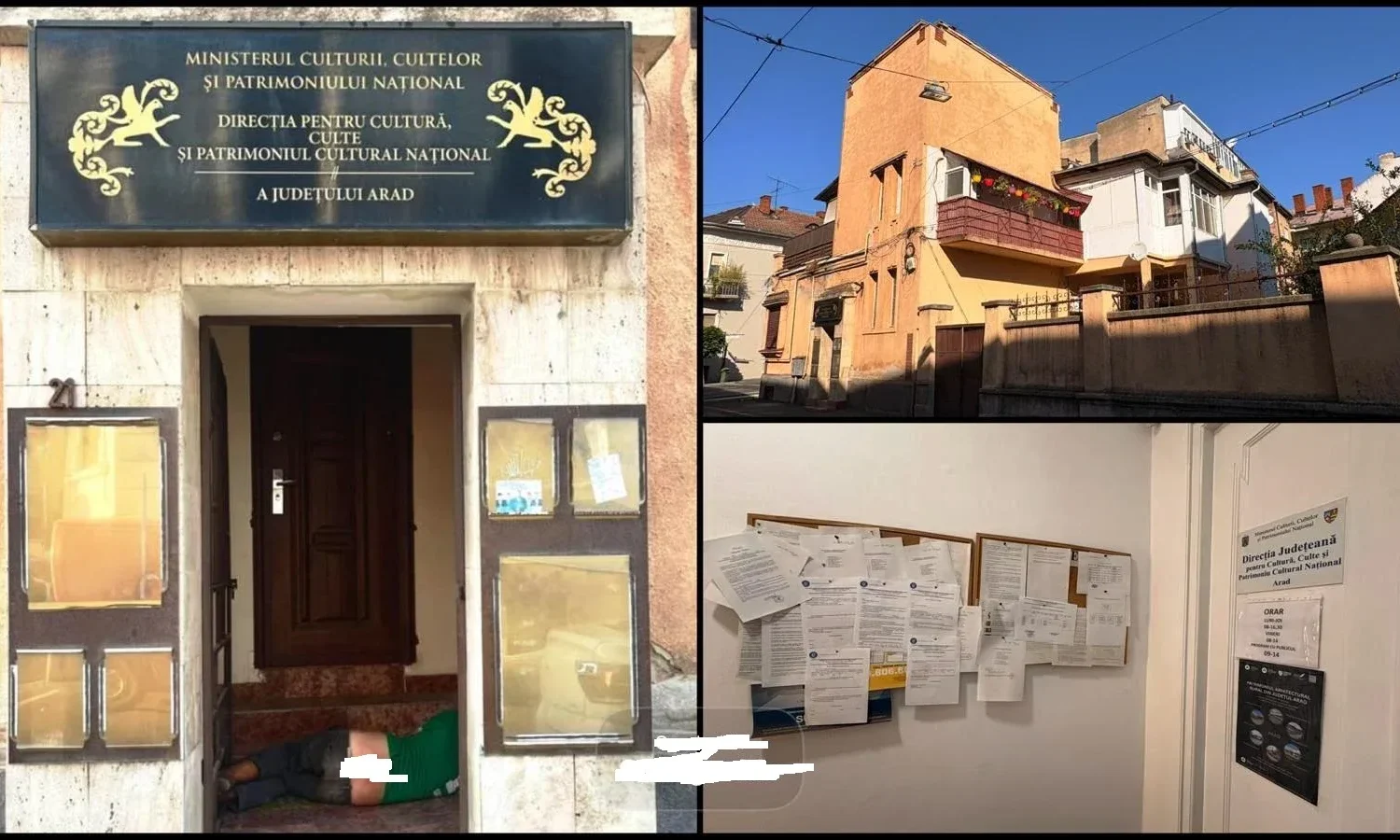 direcția pentru cultură