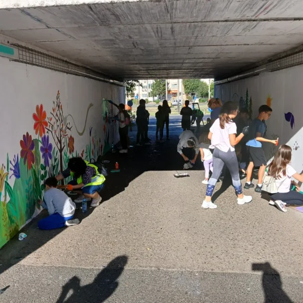 Un pasaj uitat de timp din micălaca a fost transformat într-un loc prin care să treci cu bucurie 13 pasaj micalaca12
