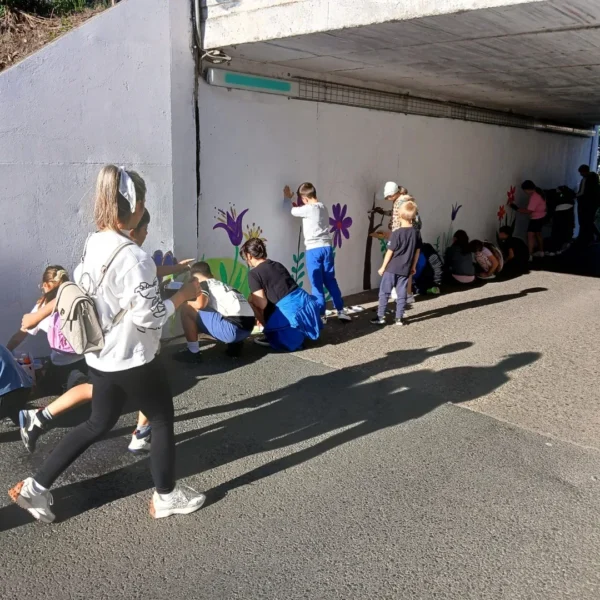 Un pasaj uitat de timp din micălaca a fost transformat într-un loc prin care să treci cu bucurie 14 pasaj micalaca13