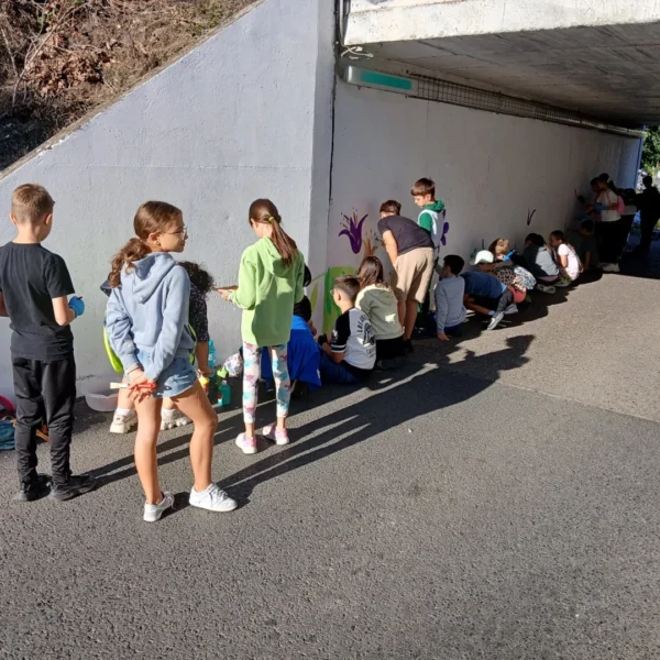 Un pasaj uitat de timp din micălaca a fost transformat într-un loc prin care să treci cu bucurie 15 pasaj micalaca14