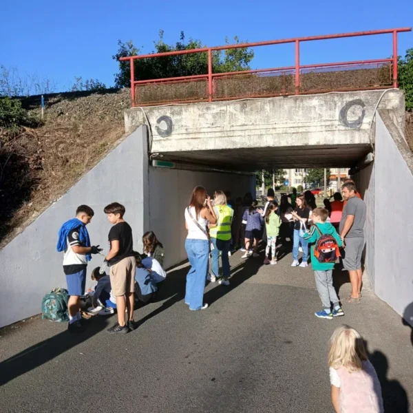 Un pasaj uitat de timp din micălaca a fost transformat într-un loc prin care să treci cu bucurie 16 pasaj micalaca15