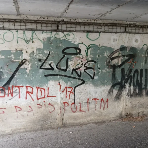 Un pasaj uitat de timp din micălaca a fost transformat într-un loc prin care să treci cu bucurie 18 pasaj micalaca17