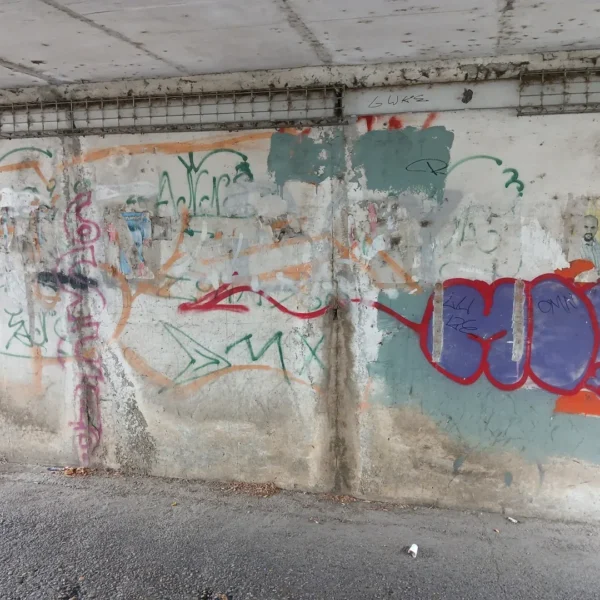 Un pasaj uitat de timp din micălaca a fost transformat într-un loc prin care să treci cu bucurie 19 pasaj micalaca18