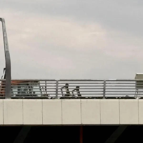 Podul hobanat „ușurat” de amporă | video din dronă 4 podul hobanat 5