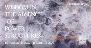 kunsthalle bega | expoziția wisdom