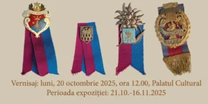 complexul muzeal arad | expoziție