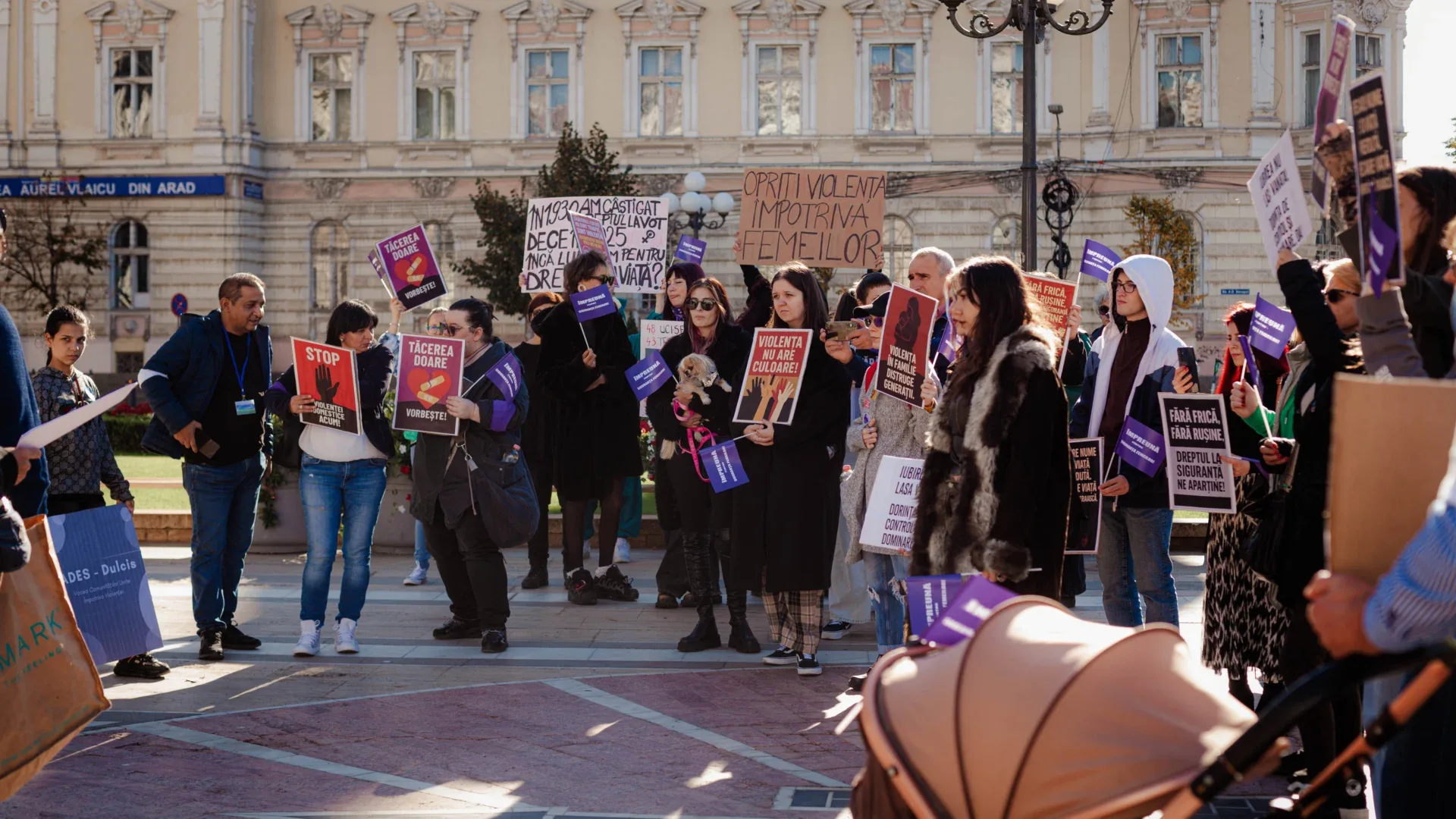 protest arad 41 of 99