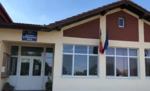minoră de 14 ani din pilu