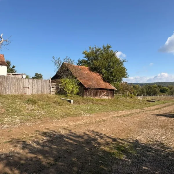 Linșaj mediatic „cu dedicație pentru primarul din șiștarovăț de la spălătoria lui iuda”, pornit de la trei podețe din cuveșdia și injectat subtil sub pielea prefectului 3 cuvestida podete