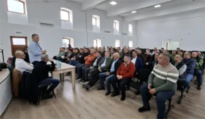 PSD Arad