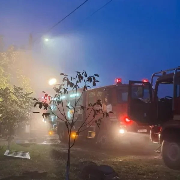 Nobel 2025 | medicină | mary e. Brunkow, fred ramsdell și shimon sakaguchi pentru descoperirile lor „privind toleranța imunitară periferică” 7 incendiu dieci1