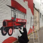 O transformare vizuală la casa marta 2 marta arad 1
