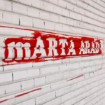 O transformare vizuală la casa marta 4 marta arad 3