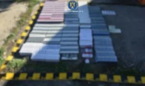 percheziții la arad