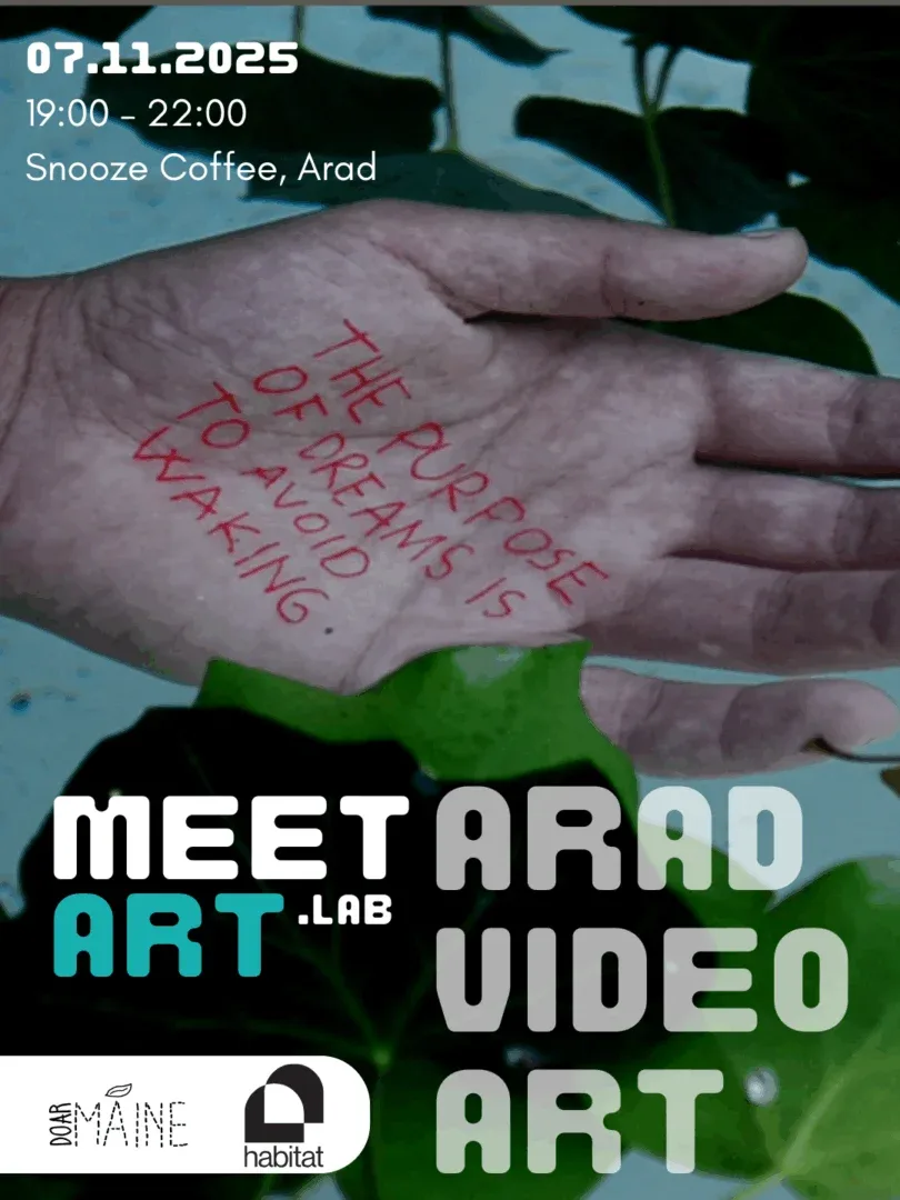 arad video art