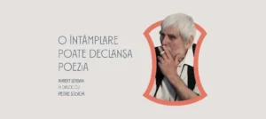 o întâmplare poate declanșa poezia
