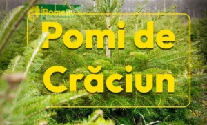 romsilva oferă la vânzare peste