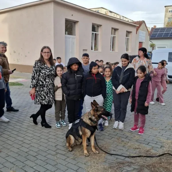 siguranta elevilor5