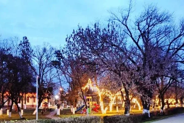 A încetat din viață colonelul iosif halja, un vechi prieten al fotbalului arădean 14 satul lui mos craciun lumini 1 1
