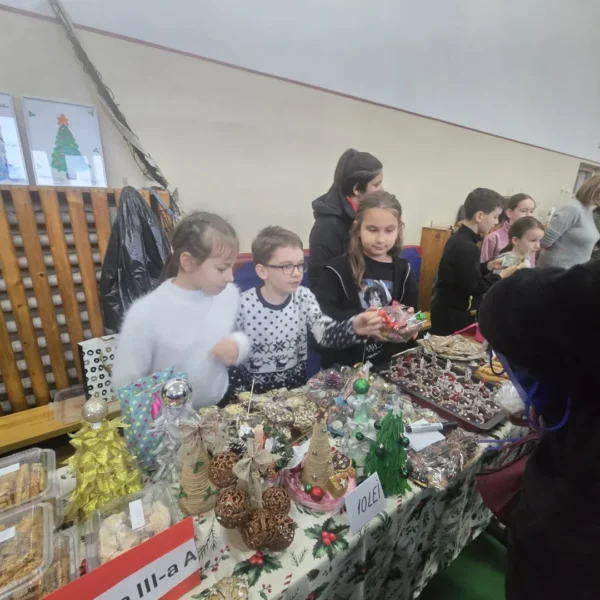 Tradiție, dăruire și solidaritate la liceul tehnologic de științe aplicate arad 10 liceul tehnologic arad 13