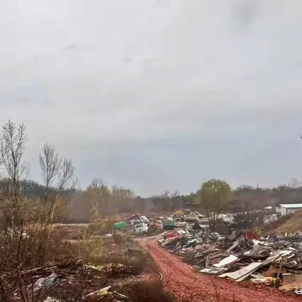 Molozarii alfa - familia vasilache și micul lor imperiu de pe malul mureșului clădit pe gunoaiele noastre fizice, juridice, morale... 10 molozarii alfa 3