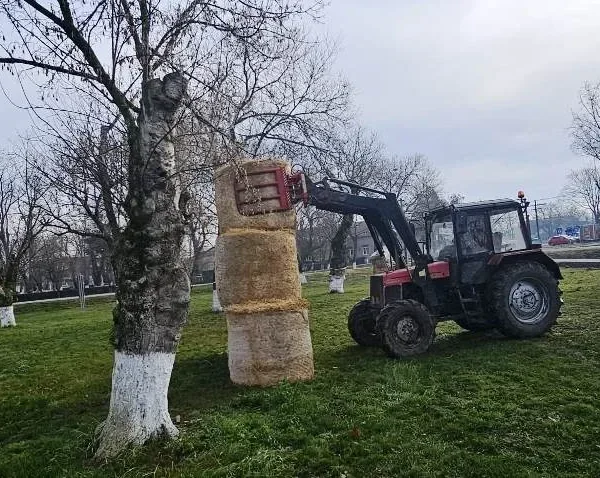A încetat din viață colonelul iosif halja, un vechi prieten al fotbalului arădean 12 satul lui mos craciun in lucru