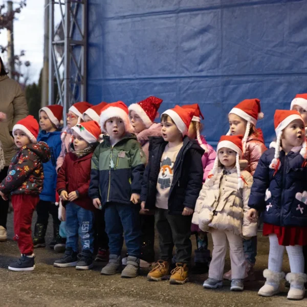 Târgul de crăciun de la șofronea în imagini 43 sofronea targ craciun ziua1 46
