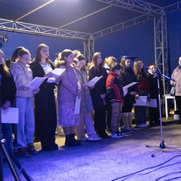 Târgul de crăciun de la șofronea în imagini 62 sofronea targ craciun ziua1 66