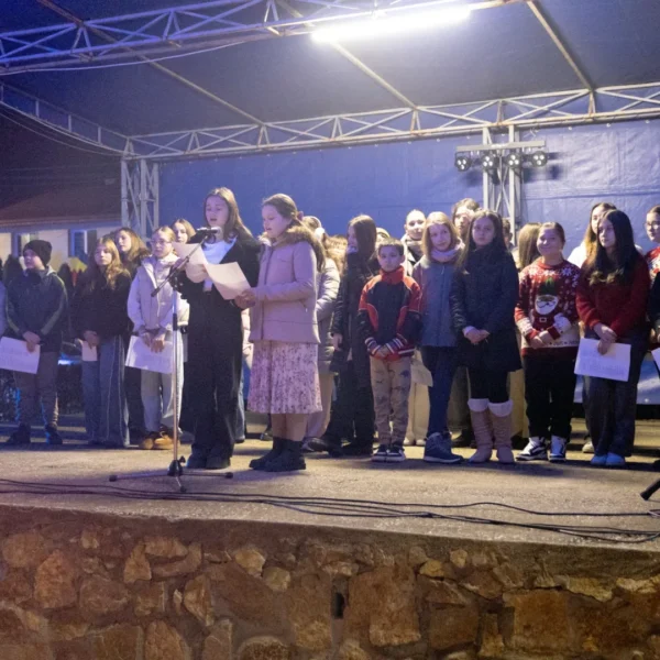 Târgul de crăciun de la șofronea în imagini 74 sofronea targ craciun ziua1 78