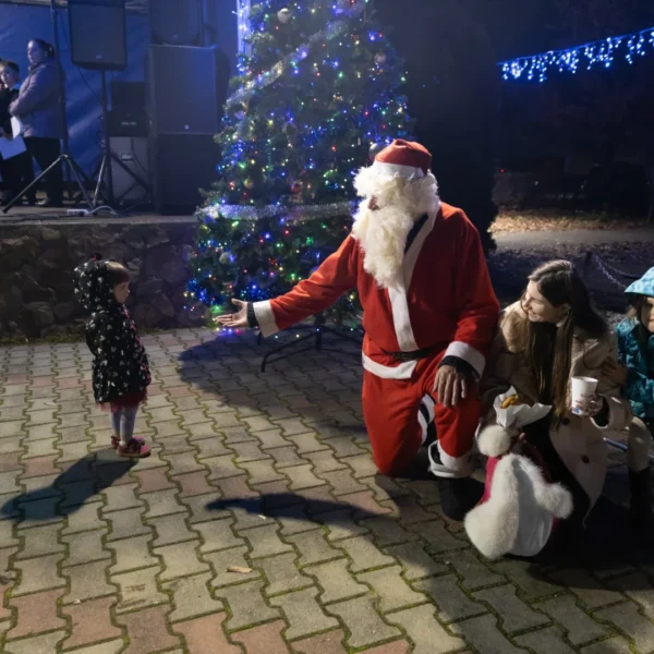 Târgul de crăciun de la șofronea în imagini 75 sofronea targ craciun ziua1 79