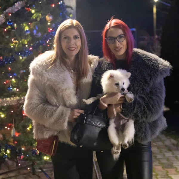 Târgul de crăciun de la șofronea în imagini 78 sofronea targ craciun ziua1 82