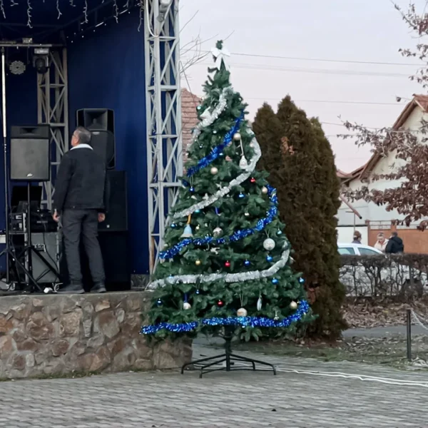 Târgul de crăciun de la șofronea în imagini 8 sofronea targ craciun ziua1 9