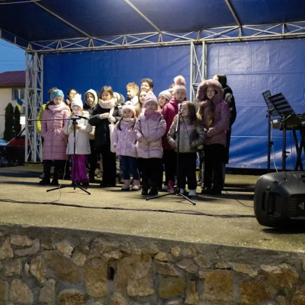 Târgul de crăciun de la șofronea în imagini 127 sofronea targ craciun ziua3 6