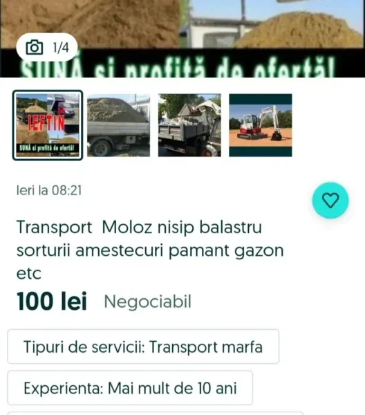 Molozarii alfa - familia vasilache și micul lor imperiu de pe malul mureșului clădit pe gunoaiele noastre fizice, juridice, morale... 8 vasilache moloz 1