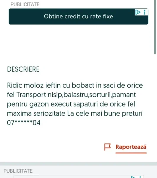 Molozarii alfa - familia vasilache și micul lor imperiu de pe malul mureșului clădit pe gunoaiele noastre fizice, juridice, morale... 7 vasilache moloz 2