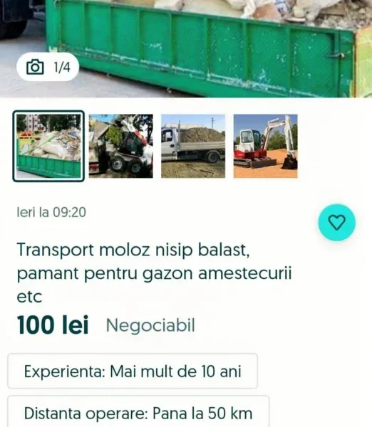 Molozarii alfa - familia vasilache și micul lor imperiu de pe malul mureșului clădit pe gunoaiele noastre fizice, juridice, morale... 6 vasilache moloz 4