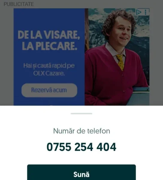 Molozarii alfa - familia vasilache și micul lor imperiu de pe malul mureșului clădit pe gunoaiele noastre fizice, juridice, morale... 3 vasilache moloz 8