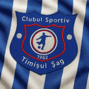 10.timisul sag