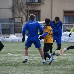 csc ghiroda si giarmata vii