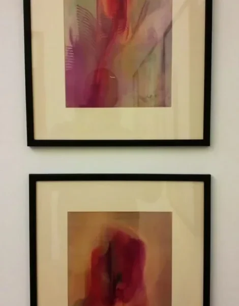 Expoziția colectivă a lunii ianuarie la galeria brãteanu din timișoara 18 charlotte guitard