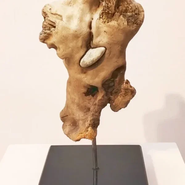 Expoziția colectivă a lunii ianuarie la galeria brãteanu din timișoara 19 costin brateanu